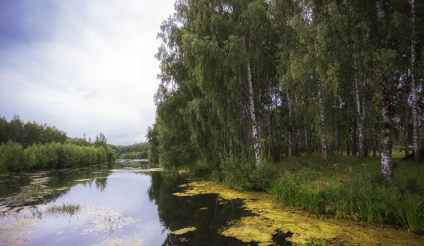 Костромка река в Костроме. Кострома природа Кострома. Русиловское озеро Костромской области. Кострома природа реки. Реки озера костромской области