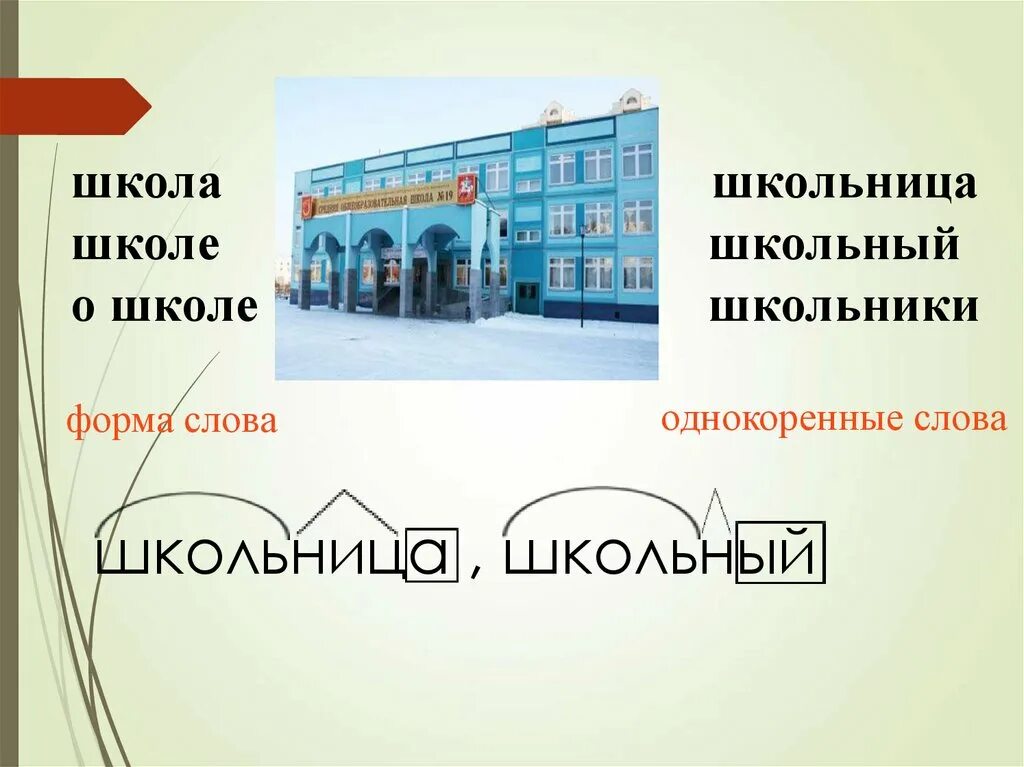 Подобрать слово школа. Слово школа. Однокоренное к слову школа. Слово школа. Однокоренные слова к слову школа 3. Указать школу.