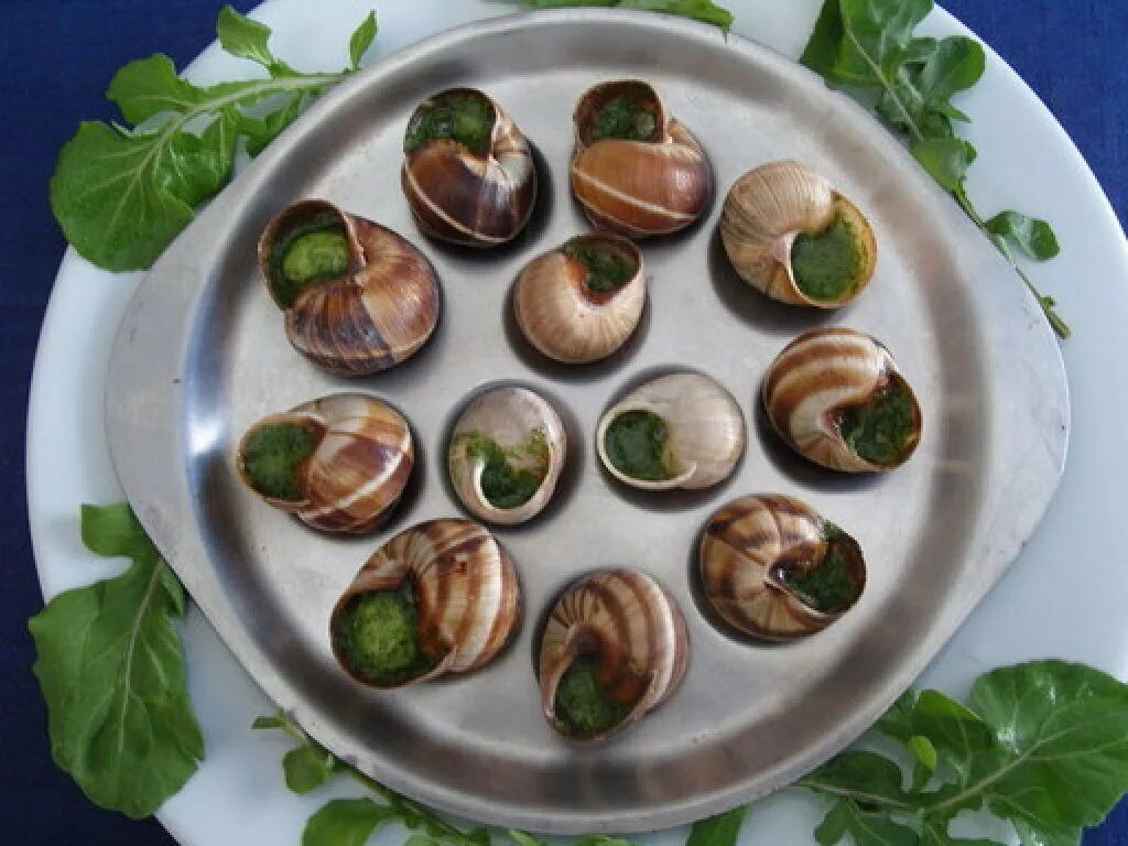 Эскарго де Бургонь. Улитки Эскарго. Эскарго (escargots de Bourgogne). Эскарго яблоко. Рецепт улитки в духовке