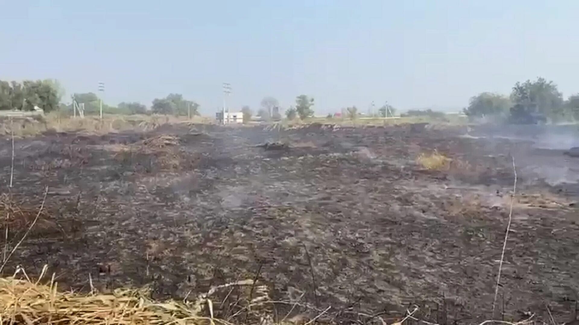 Сильный запах гари. Озеро буйвола Буденновск глубина.