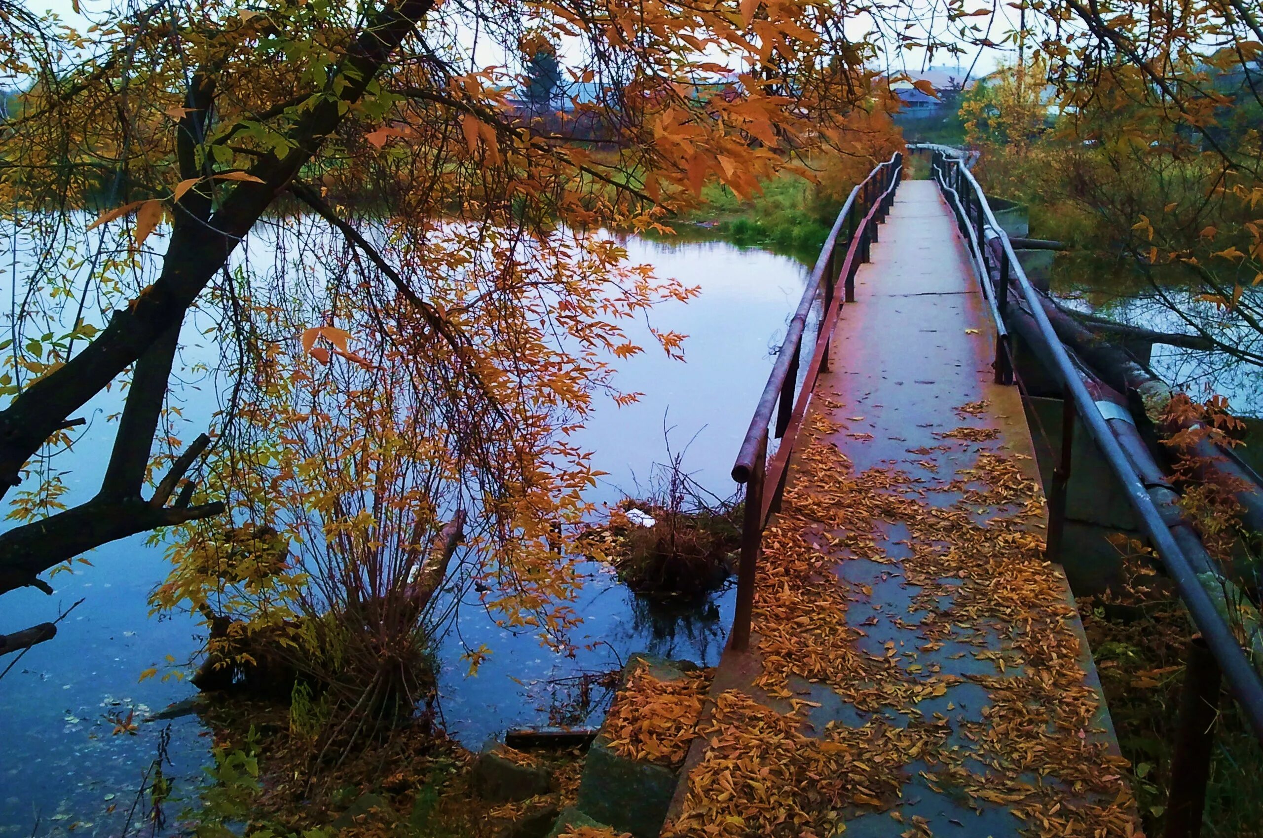 Река Салгир осень мостики. Осень Тезиков мост. Река осень мостик. Мостик речка осень.