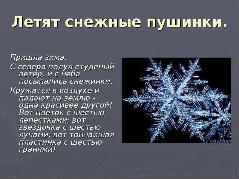 Рассказ про снежинку. Снежинка Пушинка. Предложение про снежинки. Маленький рассказ про снежинку. Пришла зима с севера подул основная мысль