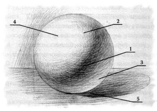 Свет тень на шаре. Свет тень полутень рефлекс на шаре. Тени светотени полутени. Шар тень полутень блик рефлекс штриховка. Светотеневая моделировка рисунок.