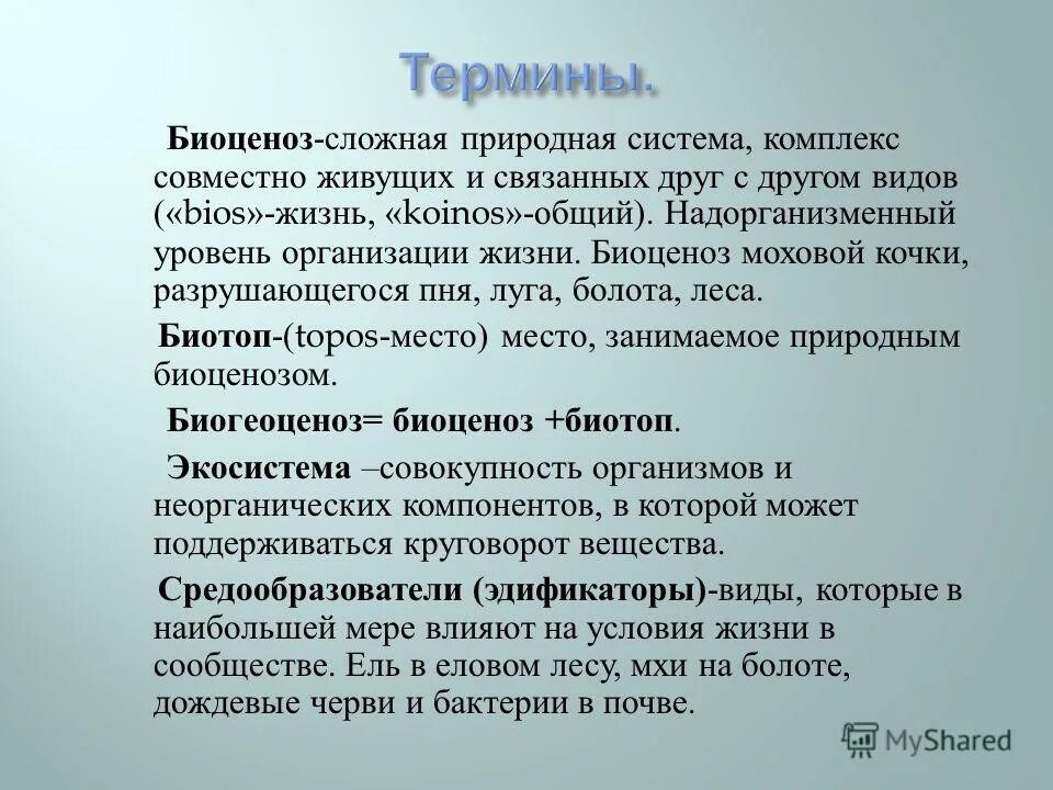 Виды которые являются средообразователями. Виды средообразователи это в биологии. Экосистема это совокупность организмов. Видова структура екосистем. Сложные природные условия.