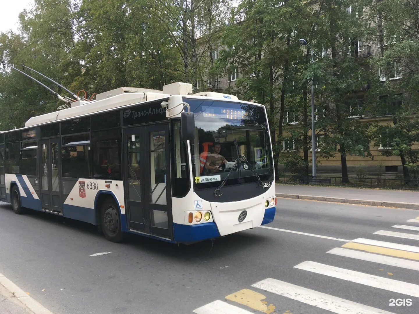 Троллейбус тролза мегаполис санкт-петербург. Троллейбус 47 в купчино. Петербург маршрут 50 троллейбус. Тролза-5265 «мегаполис». Маршрут 19.