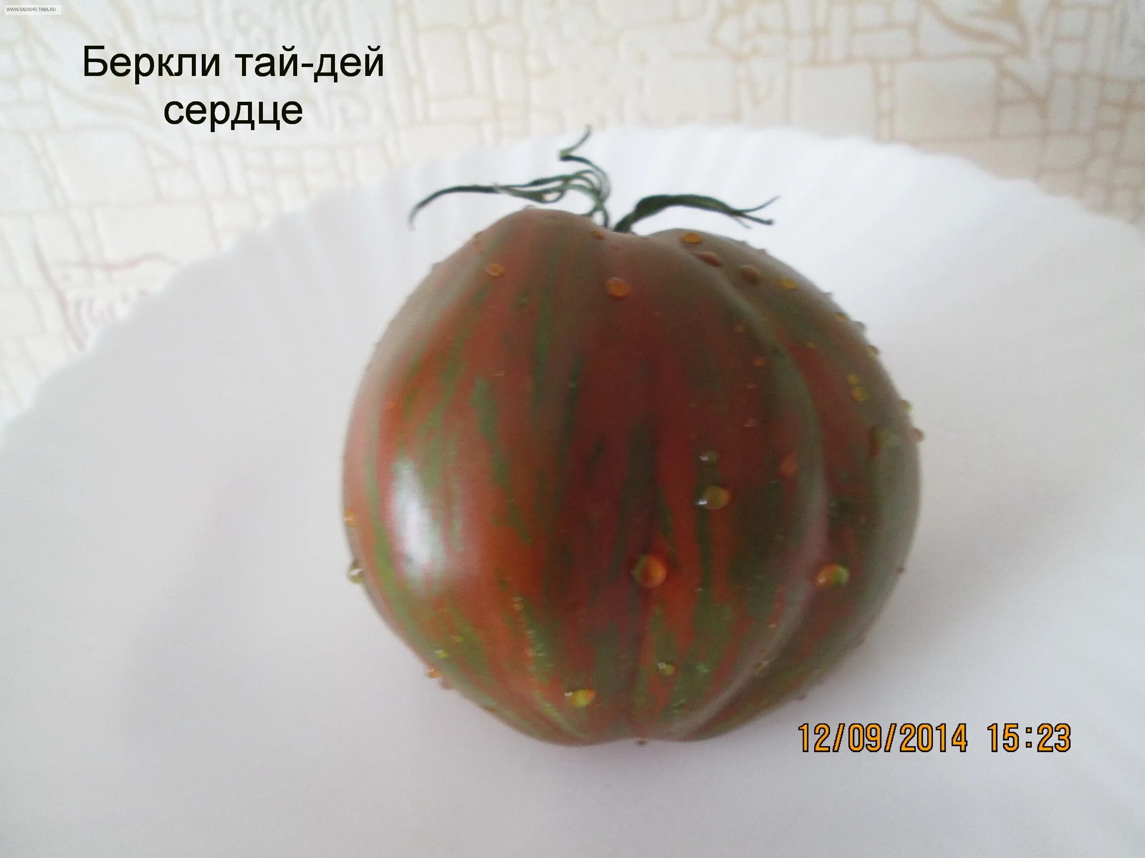 Томаты беркли тай дай описание сорта. Томат беркли тай. томат тай беркли грин. томат berkeley tie-dye. томат беркли тай дай хаат.