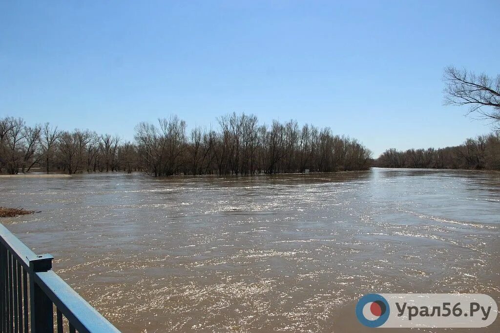 Паводок в акбулаке оренбургской области. Паводок Орск урал56. Разлив реки Урал в Орске в 2021 году. Паводок Урал Орск. Разлив Урала в Оренбурге.