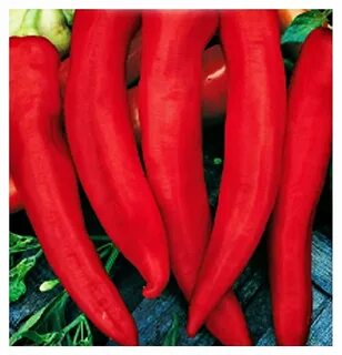 Pepper us