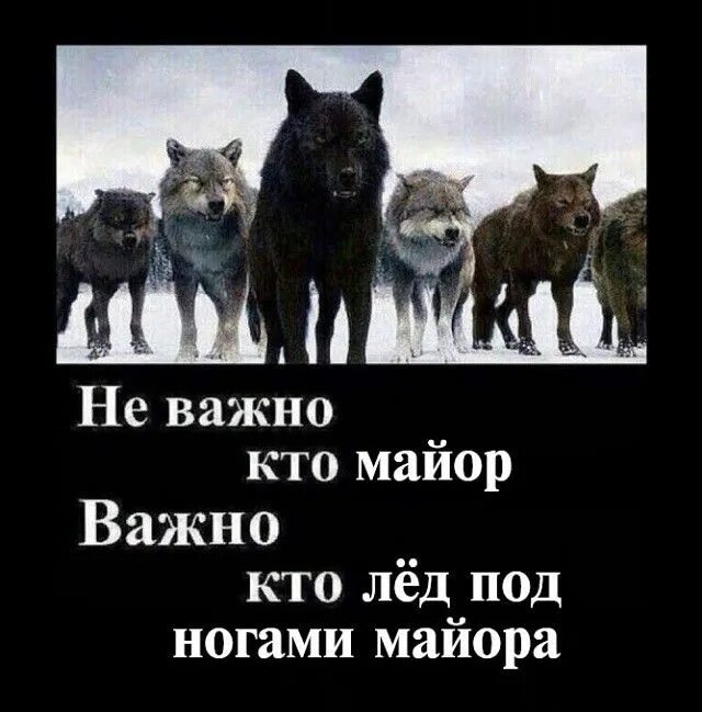 Не важно кто человек кем является. Не важно кто человек кем является