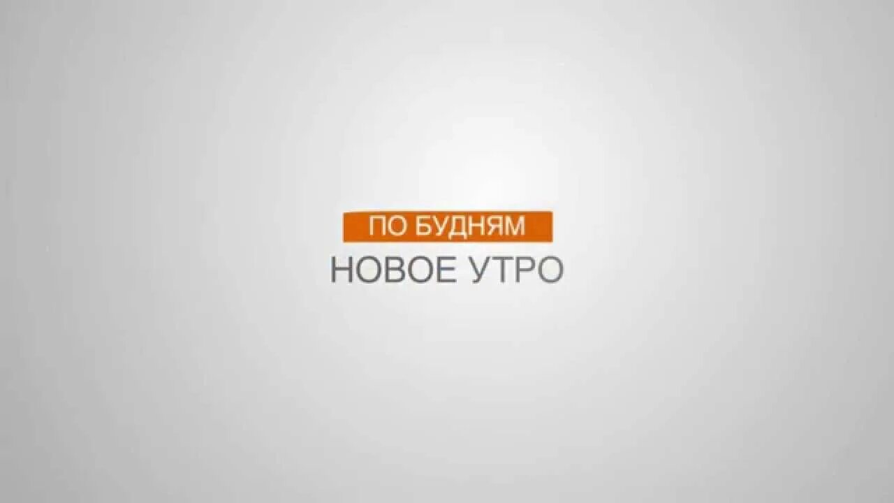 Утро нового дня на первом крымском ведущие мужчины фото. Ведущий утренней программы на нтв. Новое утро. Утро нового дня ведущие. Канал новое утро.