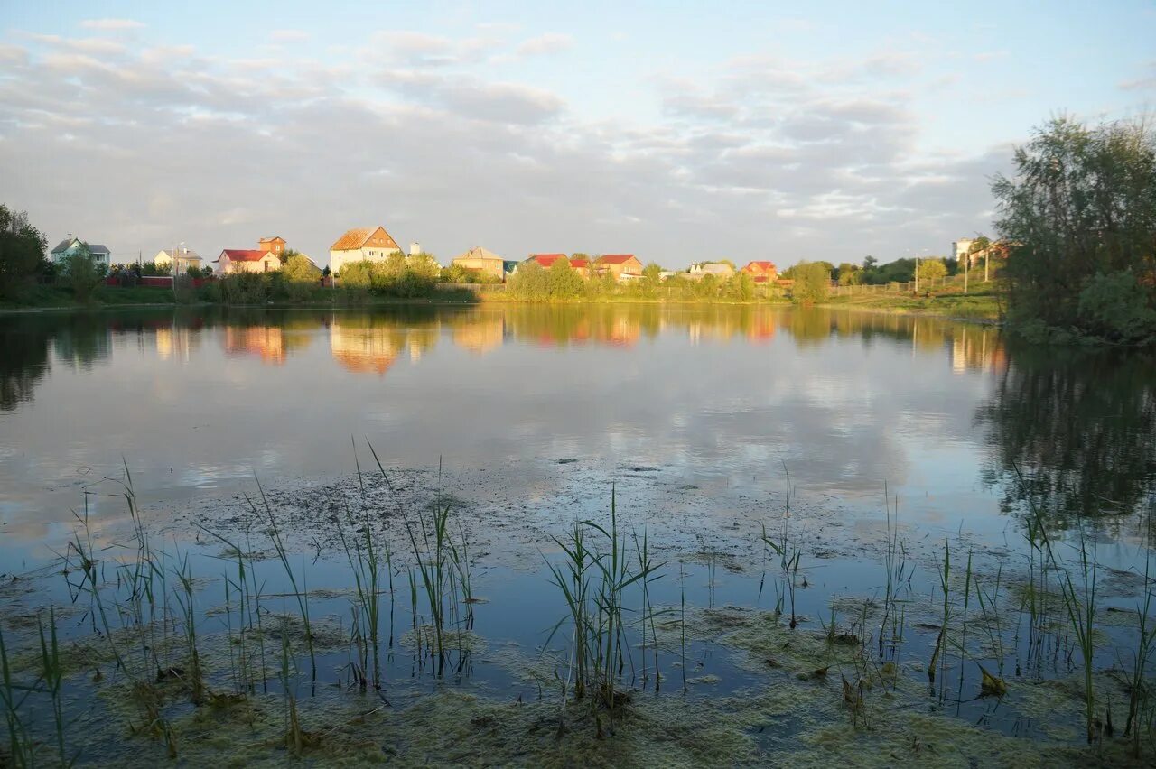 Чистые пруды суроватиха утро. Река ветлуга. Карачан пруд. Водоем 3 озера. Пруд.