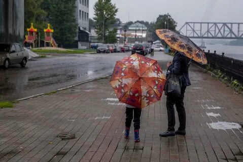 Ожидается ли дождь в ближайшее