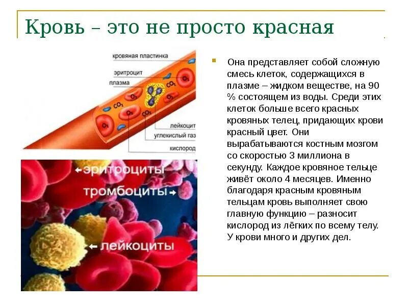 Жидкость содержащаяся в тканях