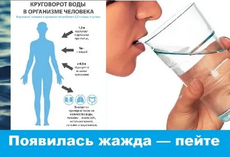 Что будет если пить только воду месяц