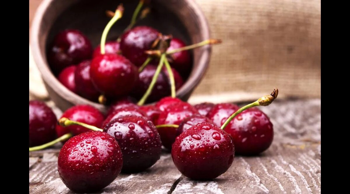 Можно ли есть черешню при диабете. Можно ли есть черешню при диабете. Можно ли есть черешню при диабете. Черешня при сахарном диабете. Различие вишни и черешни.