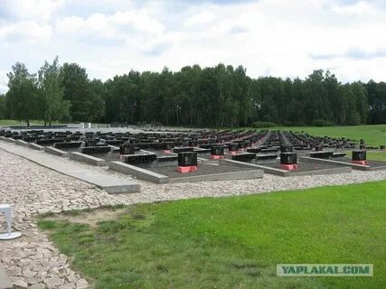 Забытый залит