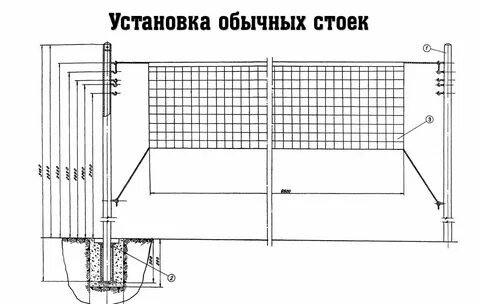 Сколько высота волейбольной сетки для женщин