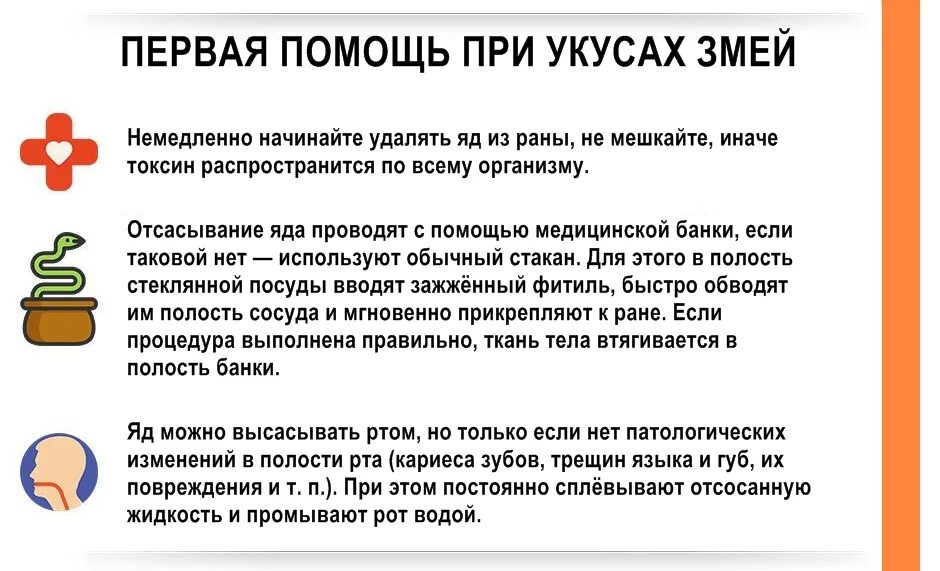 Нельзя делать при укусе. Памятка первая помощь при укусе змеи. Памятка при укусе змеи. Памятка при укусах змей. Памятка при укусе гадюки.