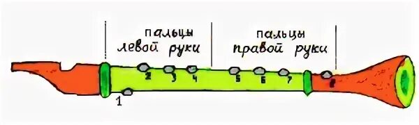 Как играть на дудке. Как научиться играть на дудочке. Как научиться играть на дудке. Блокфлейта расположение дырок. Постановка рук блокфлейта.