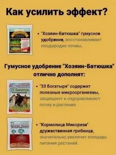Хозяин батюшка