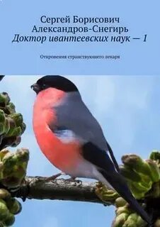 Снегирь читать
