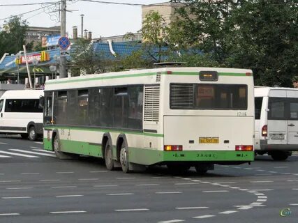 Автобус 597