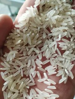 Әдемі порно сору