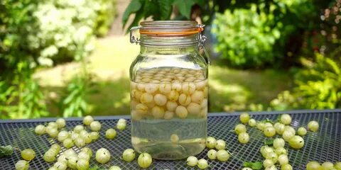 Вино из крыжовника
