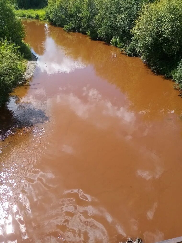 Вода стала коричневой. Река Лысьва. Река Лысьва Пермский край. Лысьва речка. Река Лысьва Исток.