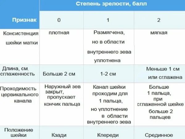 Плотнее форум