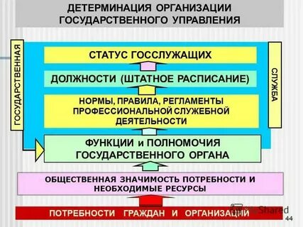 Организация государственного управления высшим образованием