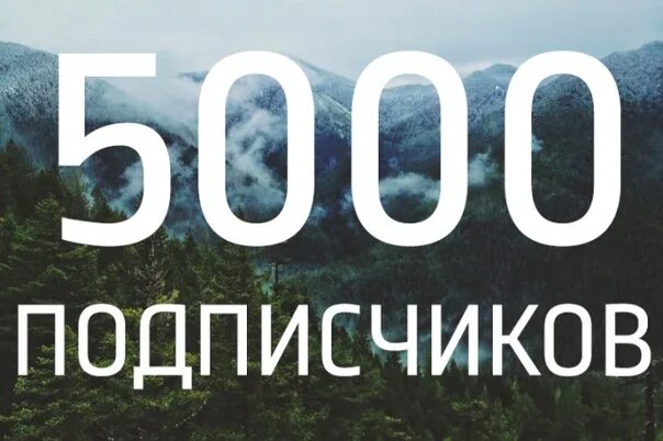 Likeex 5000 подписчиков. 5000 Подписчиков. Нас 5000. Нас 5000 участников. Ура 5000 подписчиков.