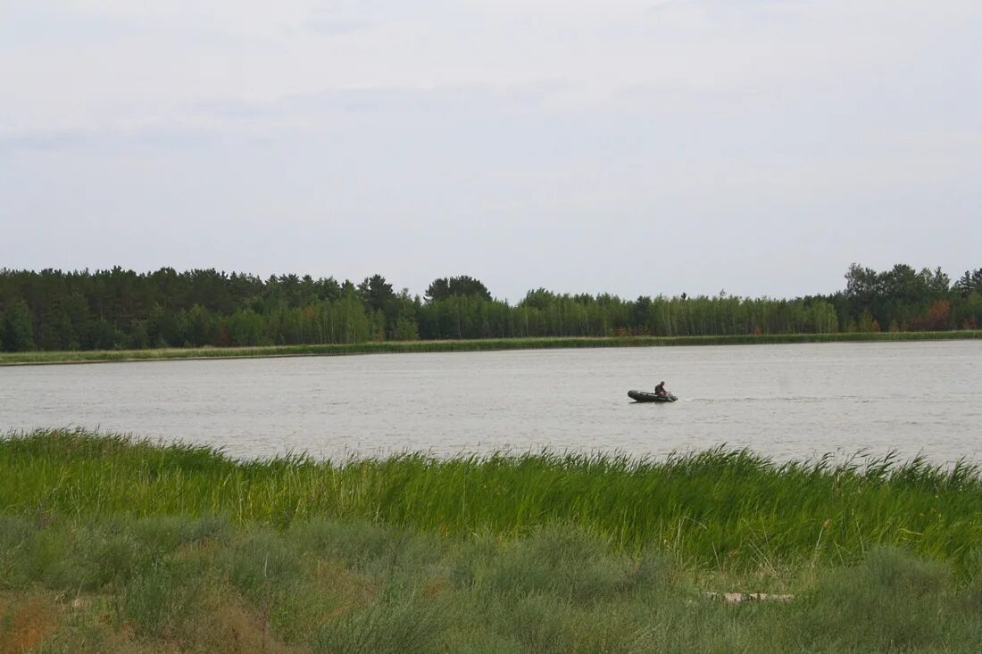 черная курья новосибирская область. новосибирская область карасукский район село черное курье. погода в чернокурье. погода в чернокурье. село чернокурья.