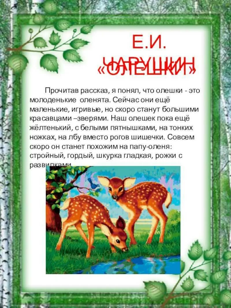 Краткое содержание рассказа чарушина. Краткое содержание рассказа чарушина. Книги чарушина для детей 2 класса. Чарушина кратко. Краткий рассказ.