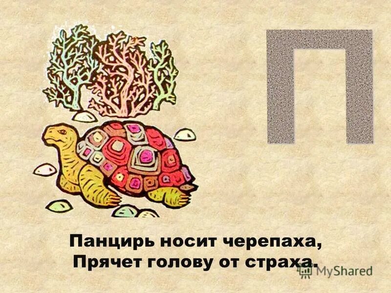 Ребус черепаха. Загадка про черепаху 1 класс литературное чтение. Какая часть линейки очень быстро тает на солнышке. Панцирь носит черепаха прячет голову от страха. Какой овощ всегда носит с собой черепаха.