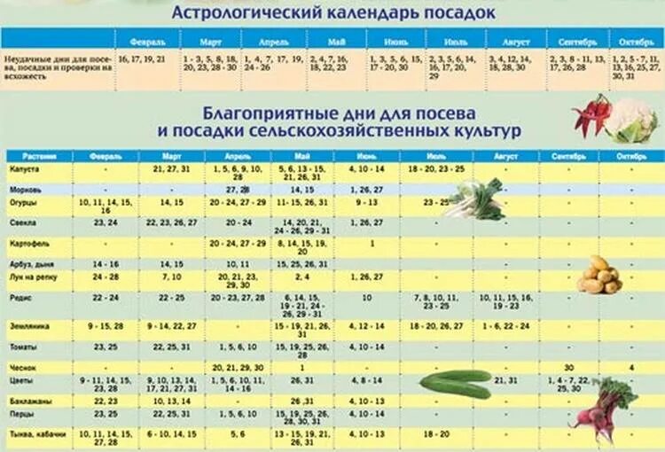 Посевной календарь омск