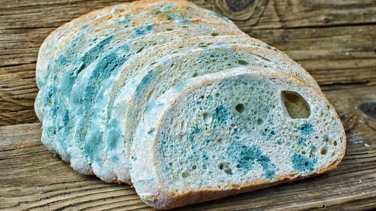 Хлеб с плесенью можно