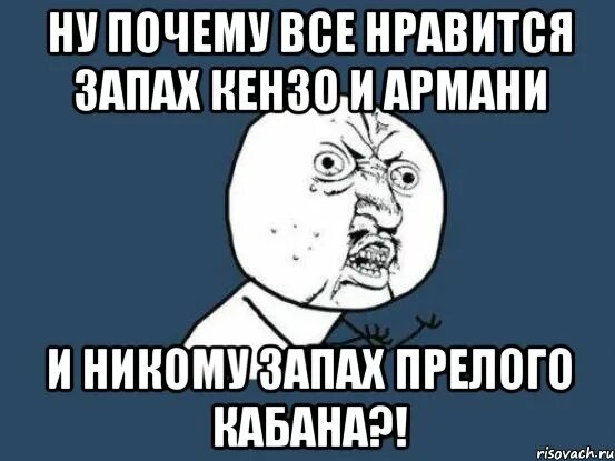 Нравится запах. Прелый запах. Все Нравится. Почему Нравится запах человека. Почему нравится запах бензина