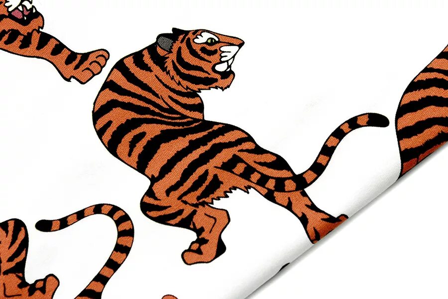 Амурский тигр оскал. Тигр на английском. Тигр и кошка. Тигр и кошка. Песня cat tiger.