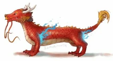 Год дракона для собаки 2024