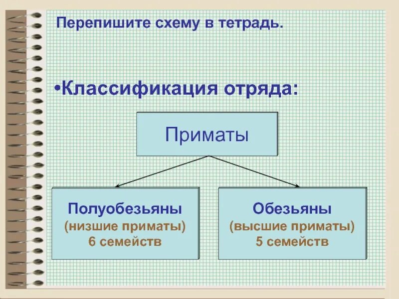 Примеры моделей в информатике. Виды схем. Классификации тетрадей. Классификация издержек в экономике. Классификация моделей по уровню моделирования.