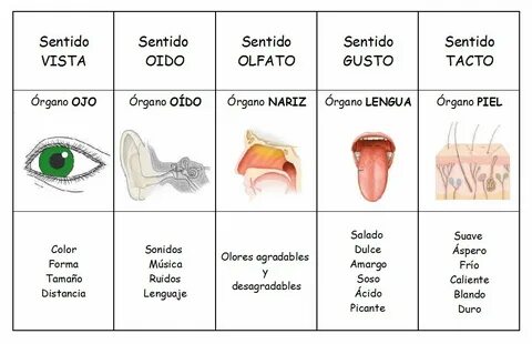 Los gustos
