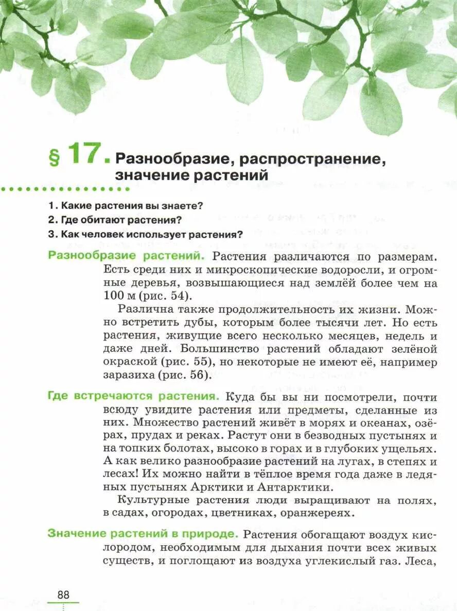 Сообщение о многообразии растений. Разнообразие распространение значение растений. растения обогащают воздух. разнообразие растений 2 класс. значение растений обогащает воздух.