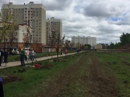 Вариант в кузнечиках