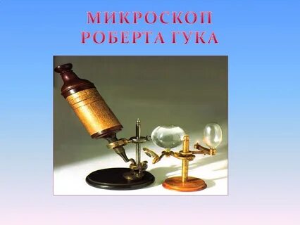 Микроскоп гука