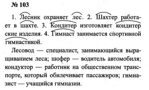 Русский 7 класс страница 55 номер 103
