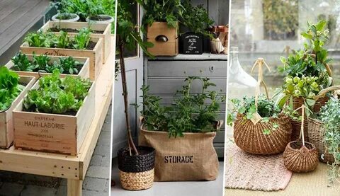 Maison des plantes