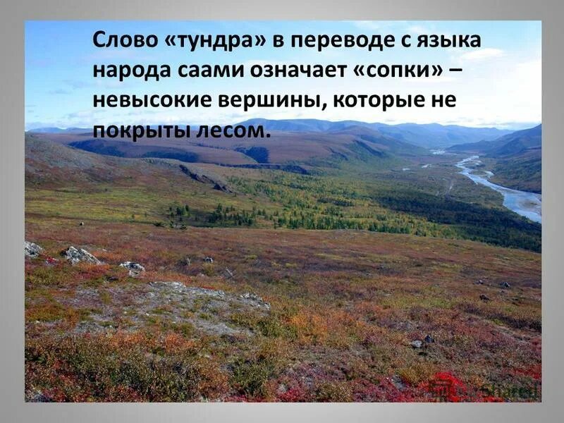 в тундре текст 5 класс