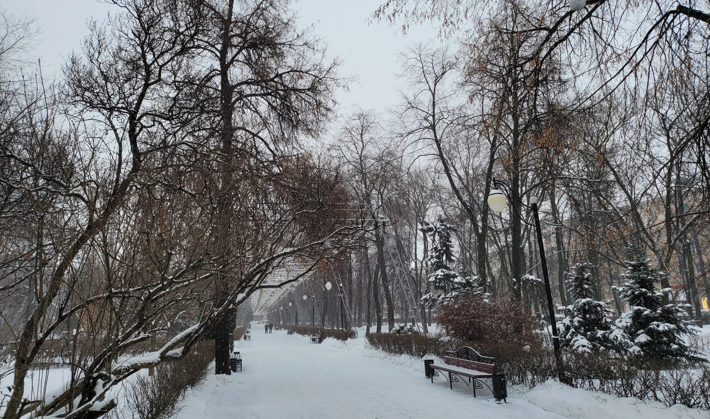 Погода в воронеже февраль 2024 года. Воронеж пасмурно. Март в Воронеже фото. Снимки Воронеж в феврале. Воронеж снимки в марте.