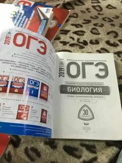 Когда выйдут пробники огэ 2025